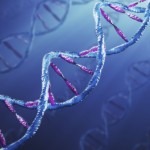 DNA