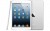 iPad mini display